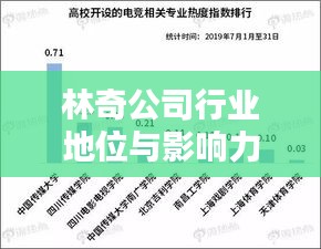 林奇公司行業(yè)地位與影響力解析，揭秘其在行業(yè)中的排名及深遠(yuǎn)影響