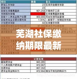 蕪湖社保繳納期限最新規(guī)定解讀，你需要知道的最新繳納期限！