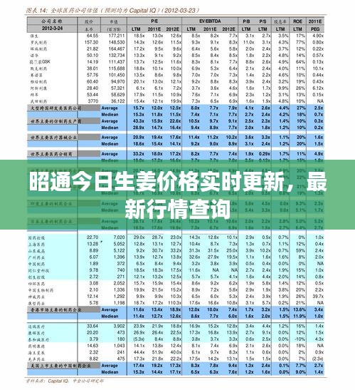 昭通今日生姜價格實時更新，最新行情查詢