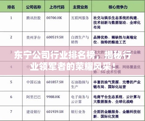 東寧公司行業(yè)排名榜，揭秘行業(yè)領(lǐng)軍者的榮耀風(fēng)采！