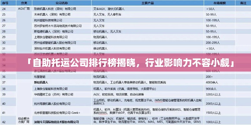 「自助托運公司排行榜揭曉，行業(yè)影響力不容小覷」