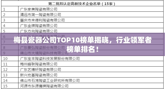 梅縣瓷器公司TOP10榜單揭曉，行業(yè)領(lǐng)軍者榜單排名！