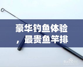 豪華釣魚體驗，最貴魚竿排行榜前十名揭曉