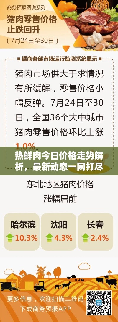 熱鮮肉今日價格走勢解析，最新動態(tài)一網(wǎng)打盡！