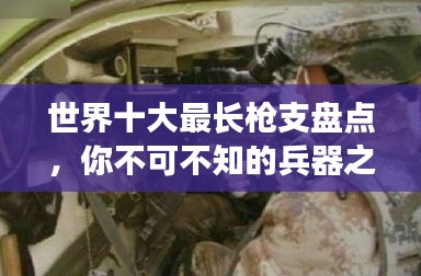 世界十大最長(zhǎng)槍支盤點(diǎn)，你不可不知的兵器之王排名！