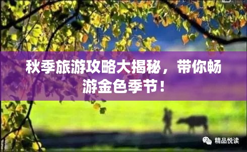 秋季旅游攻略大揭秘，帶你暢游金色季節(jié)！