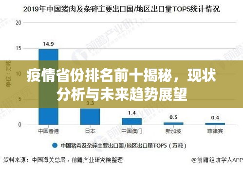 疫情省份排名前十揭秘，現(xiàn)狀分析與未來趨勢展望