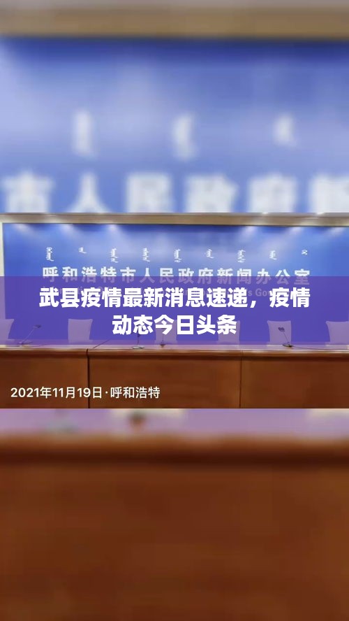 武縣疫情最新消息速遞，疫情動態(tài)今日頭條