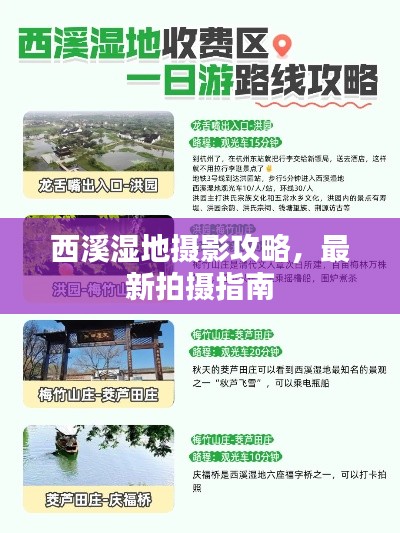 西溪濕地攝影攻略，最新拍攝指南