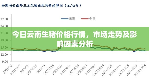 今日云南生豬價(jià)格行情，市場(chǎng)走勢(shì)及影響因素分析