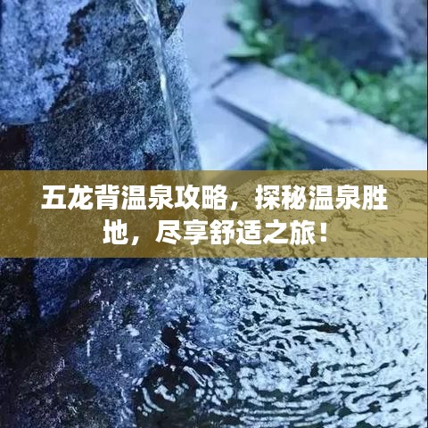 五龍背溫泉攻略，探秘溫泉勝地，盡享舒適之旅！