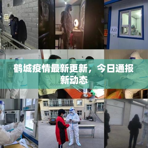 鶴城疫情最新更新，今日通報(bào)新動(dòng)態(tài)