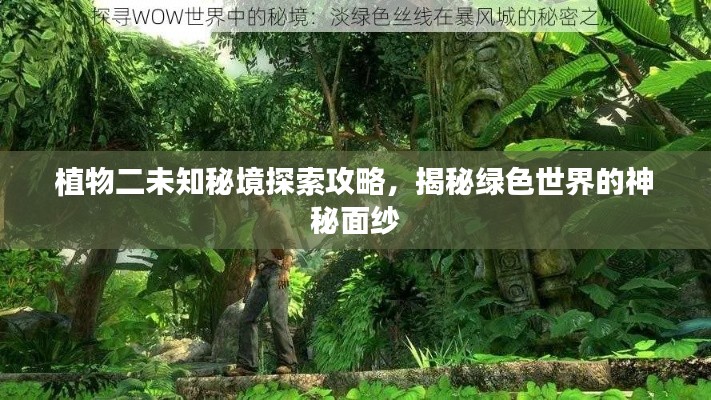 植物二未知秘境探索攻略，揭秘綠色世界的神秘面紗