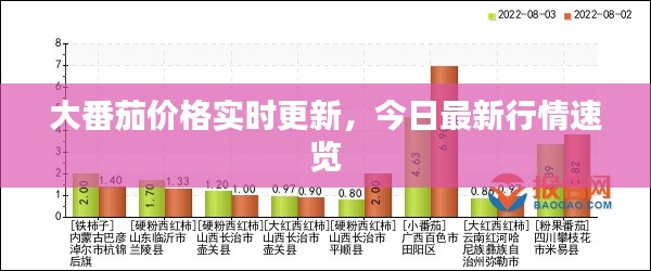 大番茄價(jià)格實(shí)時(shí)更新，今日最新行情速覽