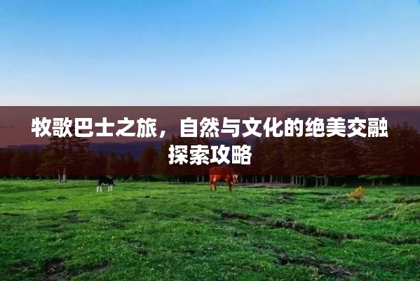 牧歌巴士之旅，自然與文化的絕美交融探索攻略