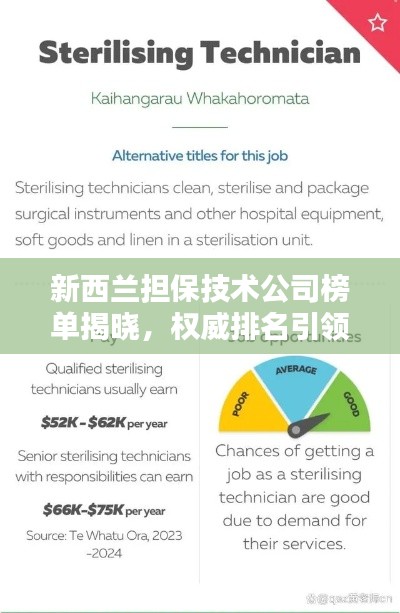 新西蘭擔(dān)保技術(shù)公司榜單揭曉，權(quán)威排名引領(lǐng)行業(yè)風(fēng)向標(biāo)