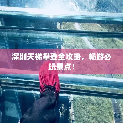 深圳天梯攀登全攻略，暢游必玩景點(diǎn)！