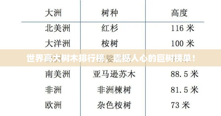 世界高大樹(shù)木排行榜，震撼人心的巨樹(shù)榜單！