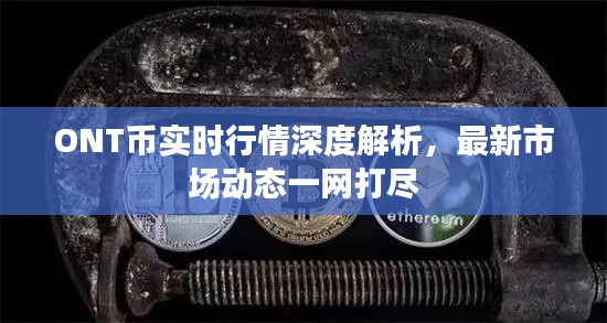 ONT幣實(shí)時(shí)行情深度解析，最新市場(chǎng)動(dòng)態(tài)一網(wǎng)打盡