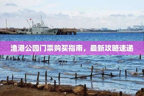 漁港公園門票購買指南，最新攻略速遞