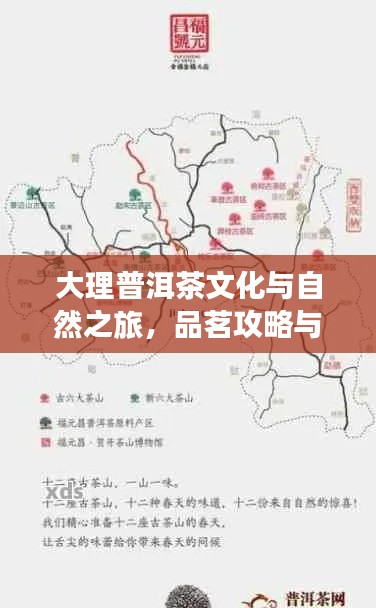 大理普洱茶文化與自然之旅，品茗攻略與旅行指南雙重體驗(yàn)