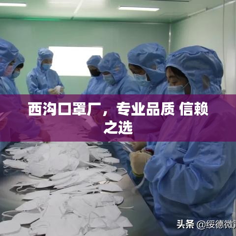 西溝口罩廠，專業(yè)品質(zhì) 信賴之選