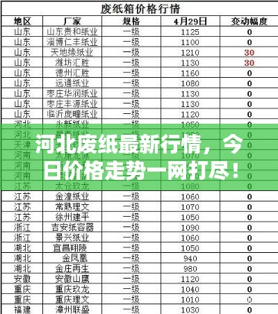 河北廢紙最新行情，今日價格走勢一網(wǎng)打盡！