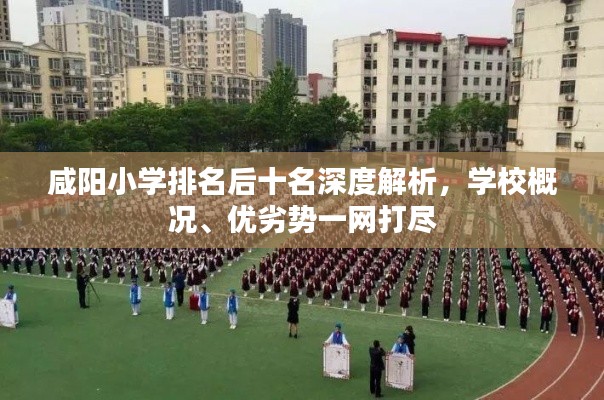 咸陽小學(xué)排名后十名深度解析，學(xué)校概況、優(yōu)劣勢一網(wǎng)打盡