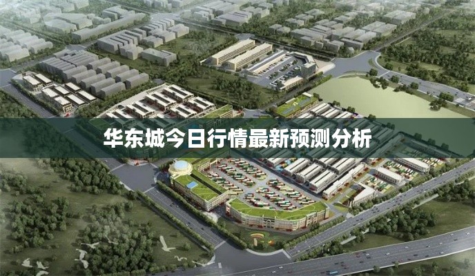 華東城今日行情最新預(yù)測分析