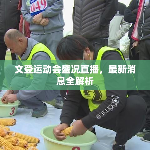 文登運動會盛況直播，最新消息全解析