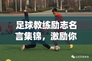 飯來(lái)張口 第2頁(yè)