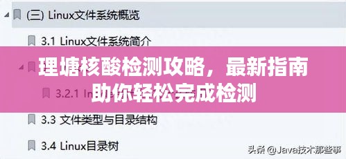 理塘核酸檢測攻略，最新指南助你輕松完成檢測