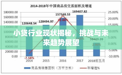 小貸行業(yè)現(xiàn)狀揭秘，挑戰(zhàn)與未來趨勢展望