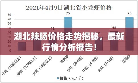 湖北辣腸價格走勢揭秘，最新行情分析報告！