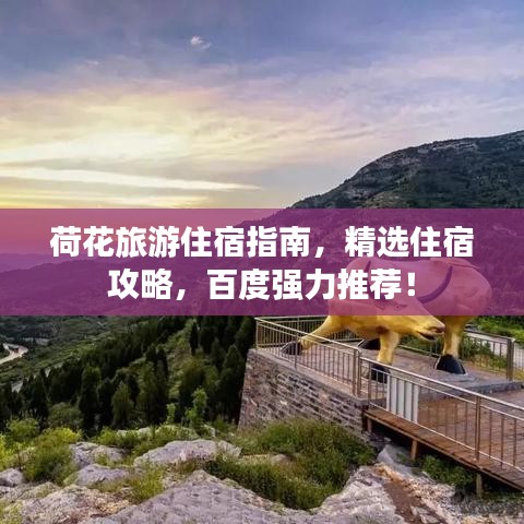 荷花旅游住宿指南，精選住宿攻略，百度強(qiáng)力推薦！