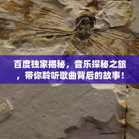 百度獨家揭秘，音樂探秘之旅，帶你聆聽歌曲背后的故事！