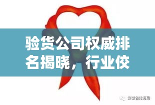 驗(yàn)貨公司權(quán)威排名揭曉，行業(yè)佼佼者一覽無余