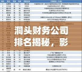 洞頭財(cái)務(wù)公司排名揭秘，影響力深度剖析