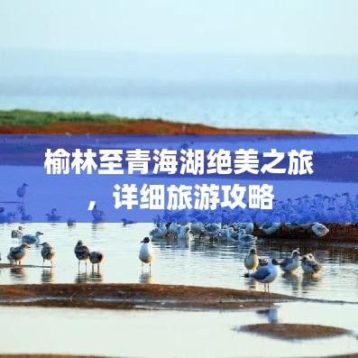 無獨有偶 第2頁