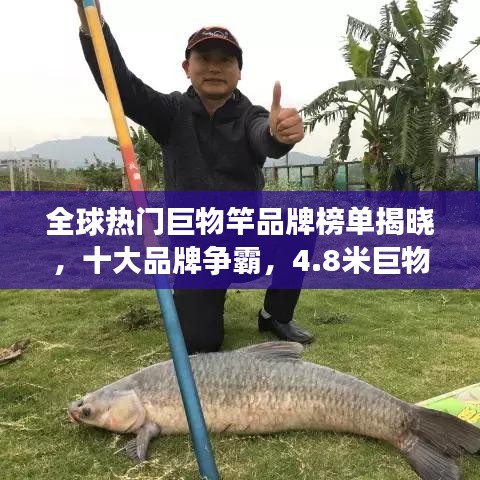 全球熱門(mén)巨物竿品牌榜單揭曉，十大品牌爭(zhēng)霸，4.8米巨物竿榮登前十名