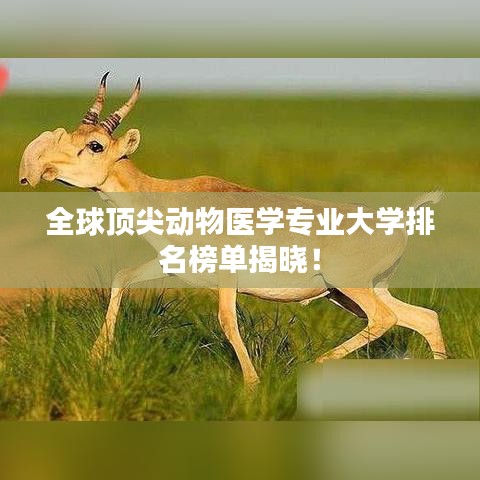 全球頂尖動物醫(yī)學專業(yè)大學排名榜單揭曉！