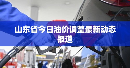 山東省今日油價(jià)調(diào)整最新動態(tài)報(bào)道