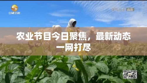 農業(yè)節(jié)目今日聚焦，最新動態(tài)一網打盡