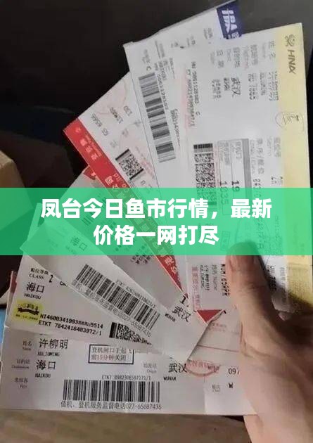 鳳臺今日魚市行情，最新價格一網(wǎng)打盡