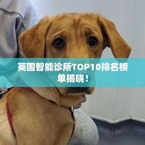 英國智能診所TOP10排名榜單揭曉！