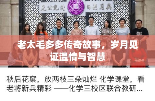 老太毛多多傳奇故事，歲月見證溫情與智慧