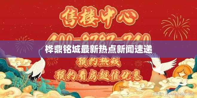 樺鼎銘城最新熱點新聞速遞