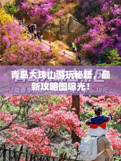 青島大珠山游玩秘籍，最新攻略圖曝光！