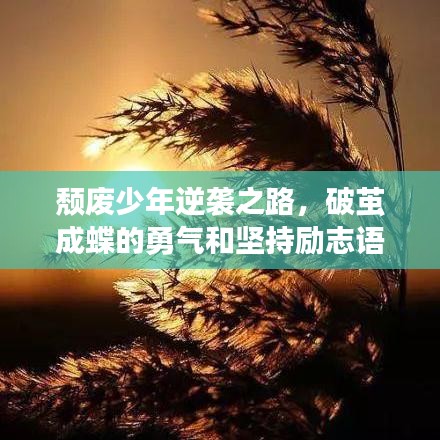 頹廢少年逆襲之路，破繭成蝶的勇氣和堅(jiān)持勵志語錄