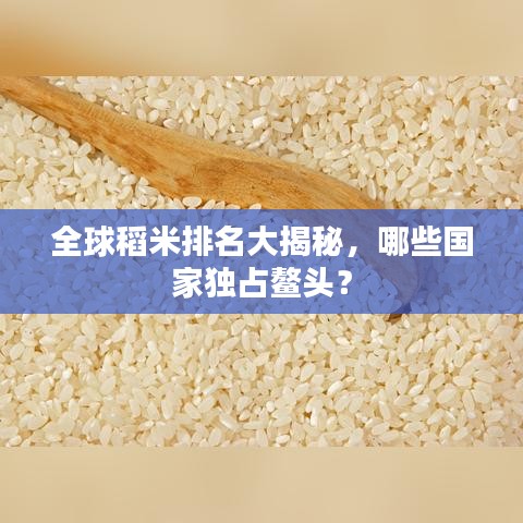 全球稻米排名大揭秘，哪些國家獨(dú)占鰲頭？